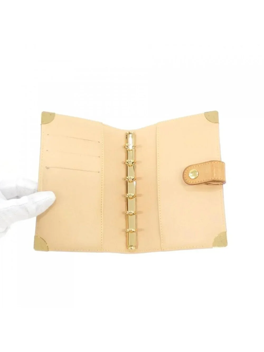 Louis Vuitton Multicolor Agenda PM Organizer